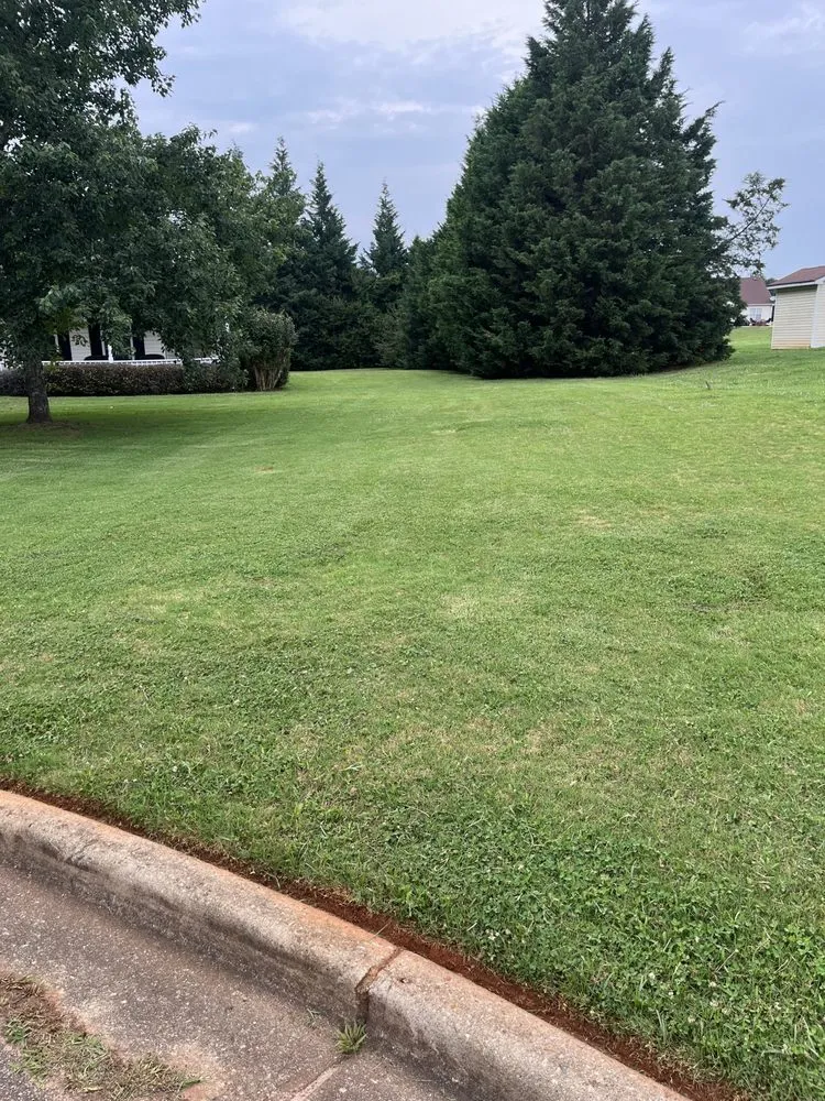 Local outdoor landscaping for beautiful yards in Covington, GA by Neal’s Lawn Care