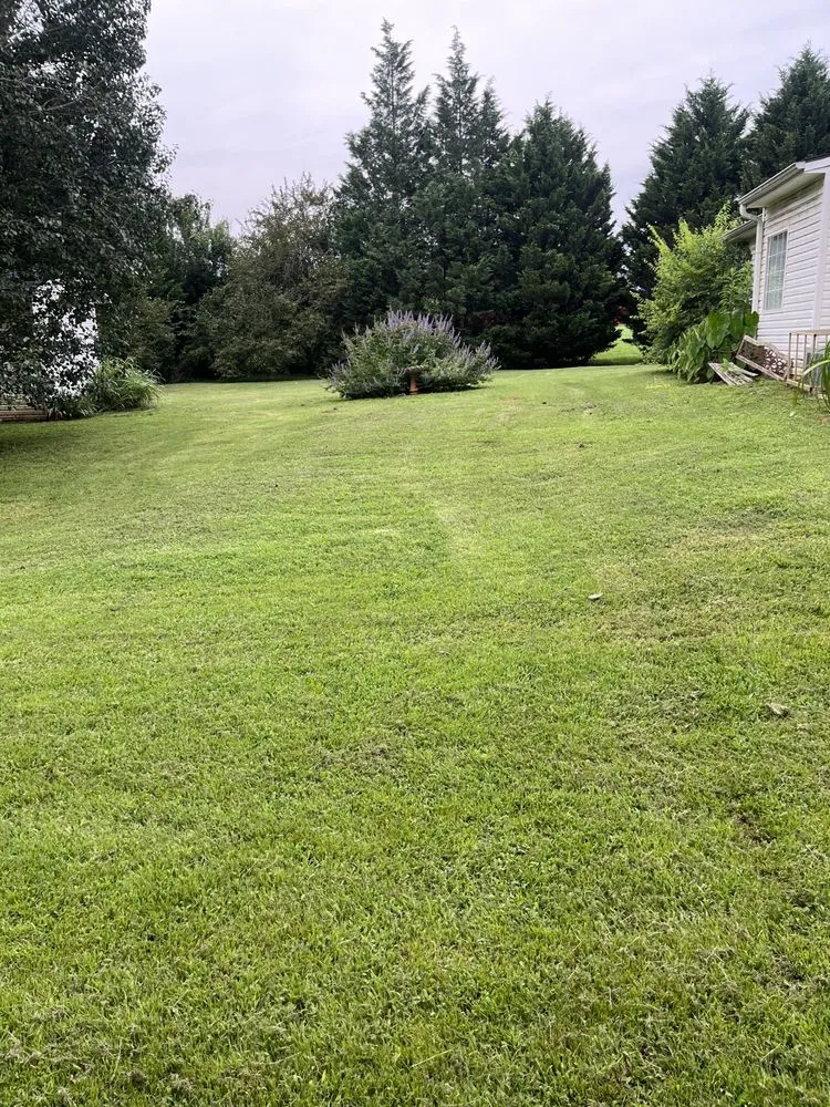 Expert lawn care service for residential properties in Covington, GA by Neal’s Lawn Care