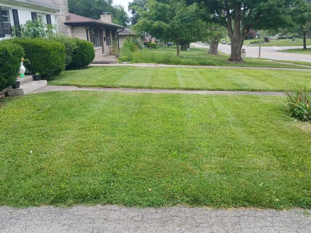 Local lawn mowing service experts serving Lexington, KY - Neals Lawncare