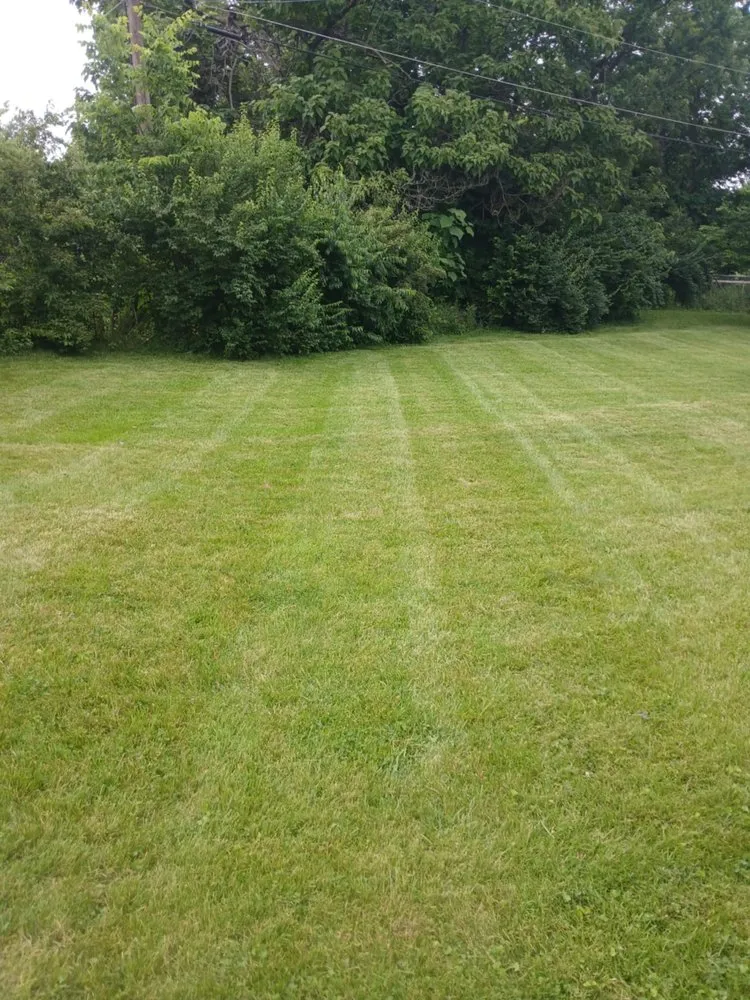 Local landscape design for homes in Lexington, KY by Neals Lawncare