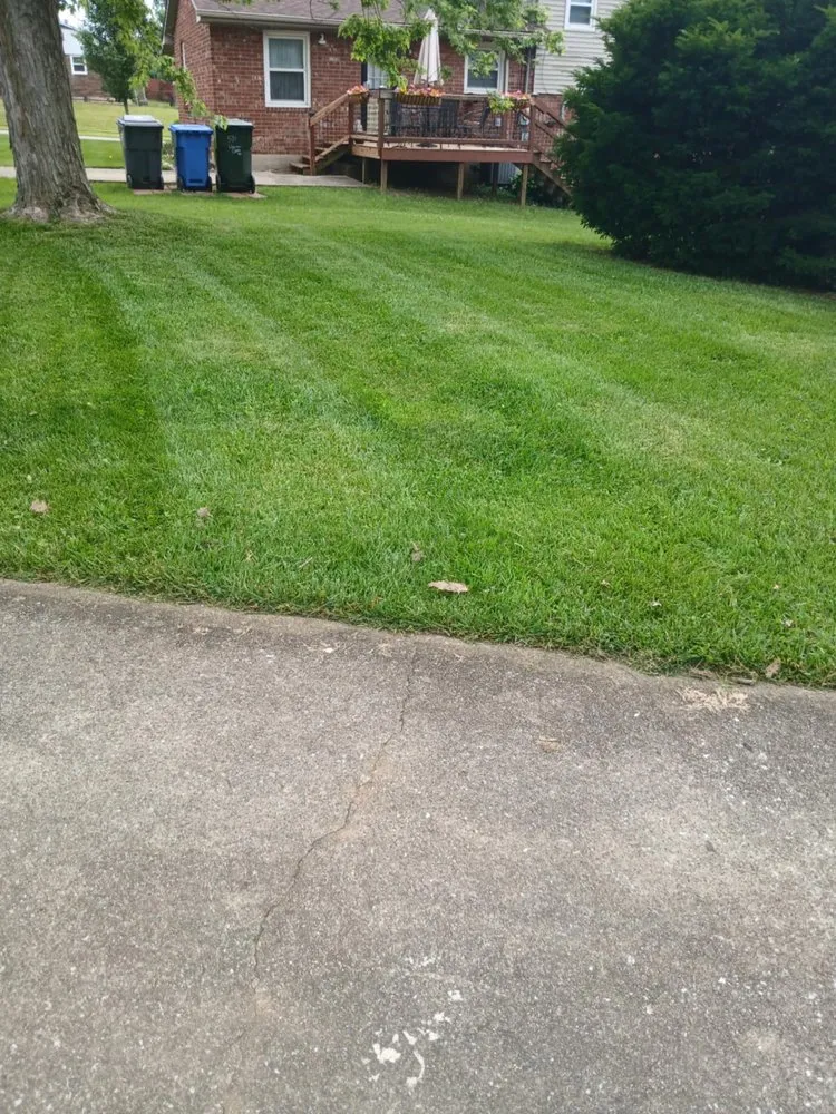 Local yard cleanup service experts serving Lexington, KY - Neals Lawncare