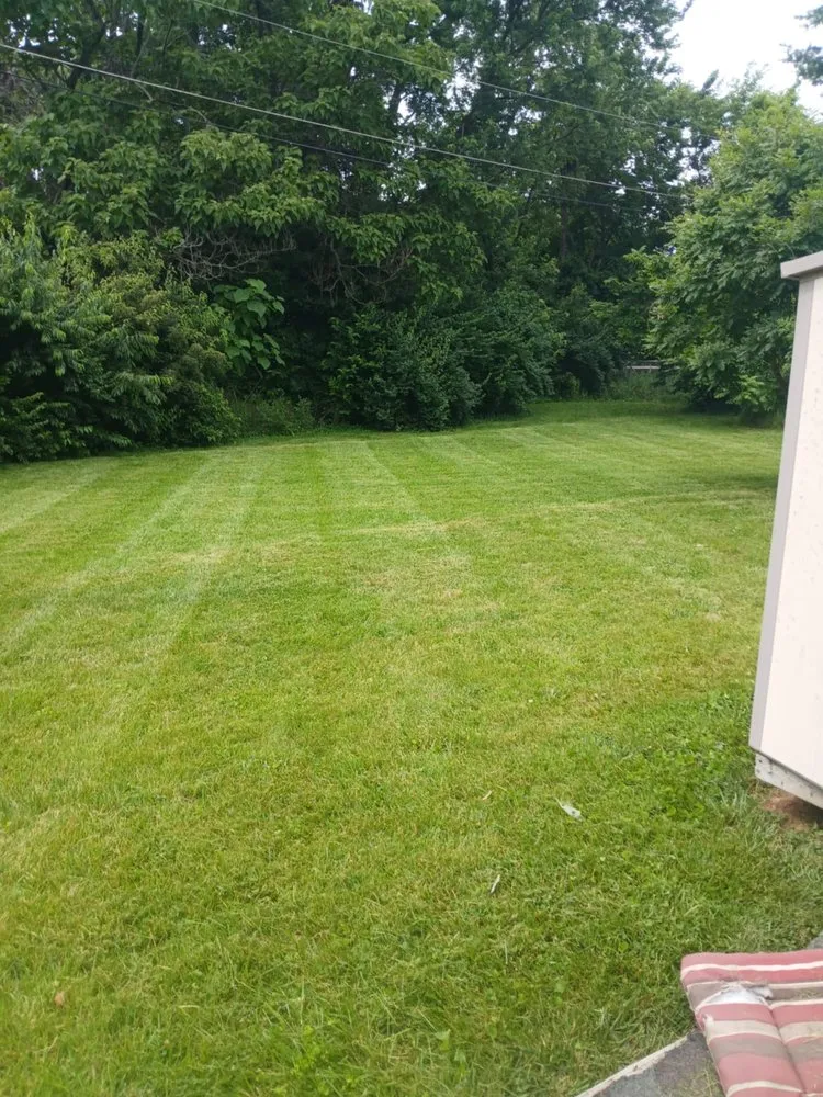 Custom lawn care service in Lexington, KY - Neals Lawncare