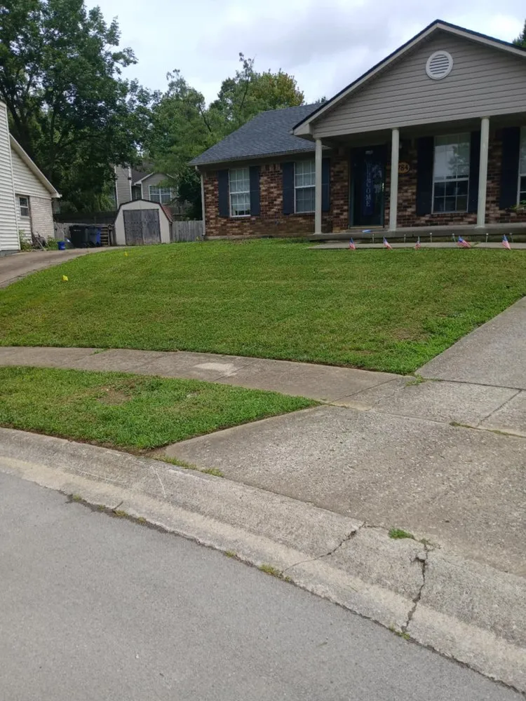 Local landscaping services with custom design in Lexington, KY by Neals Lawncare