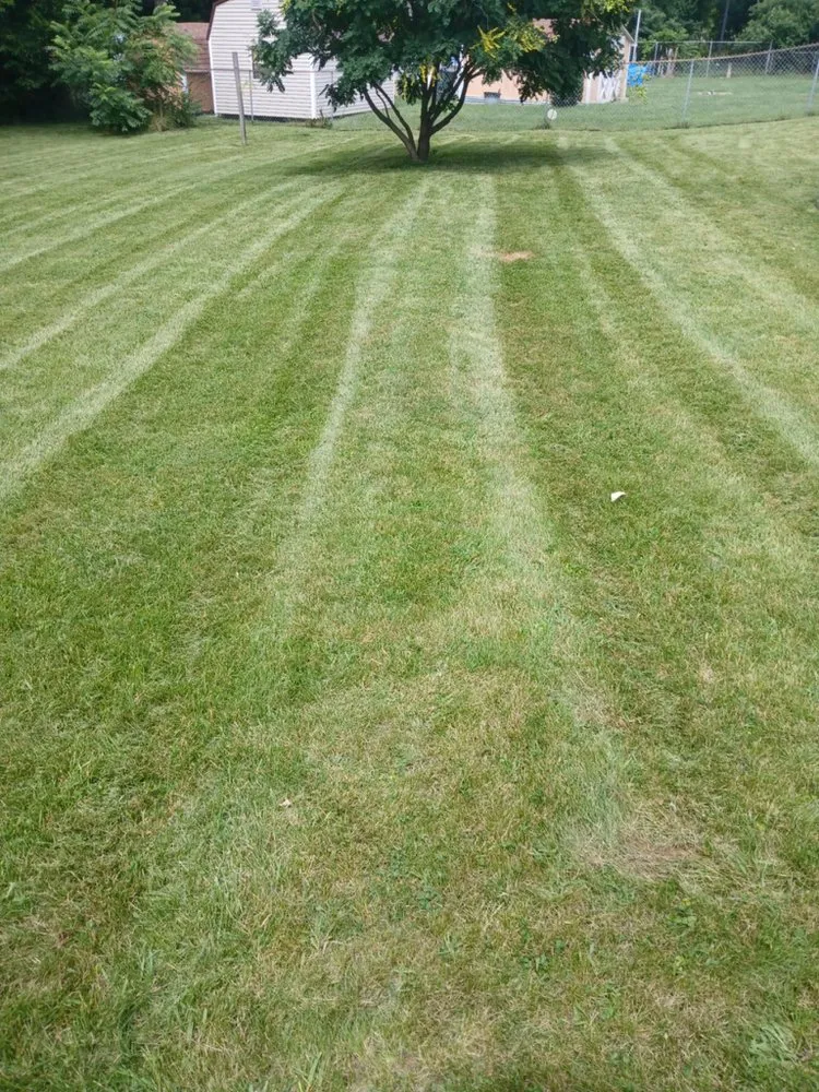 Professional landscape design in Lexington, KY by Neals Lawncare