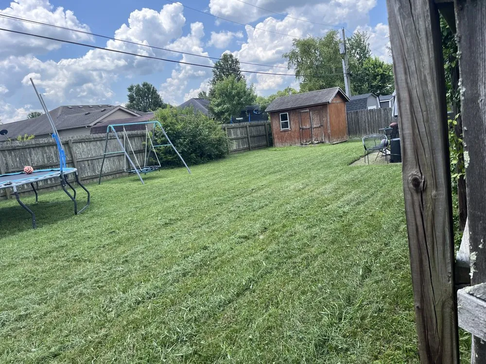 Top-rated lawn care service for outdoor upgrades in Lexington, KY by Neals Lawncare