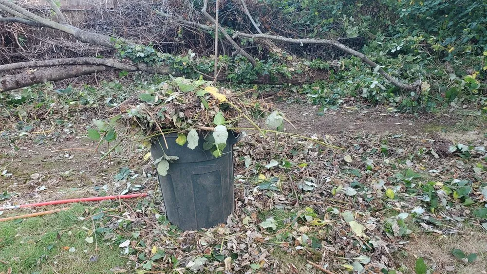 Expert landscape design in Seattle, WA - Neat & Tidy Landscaping