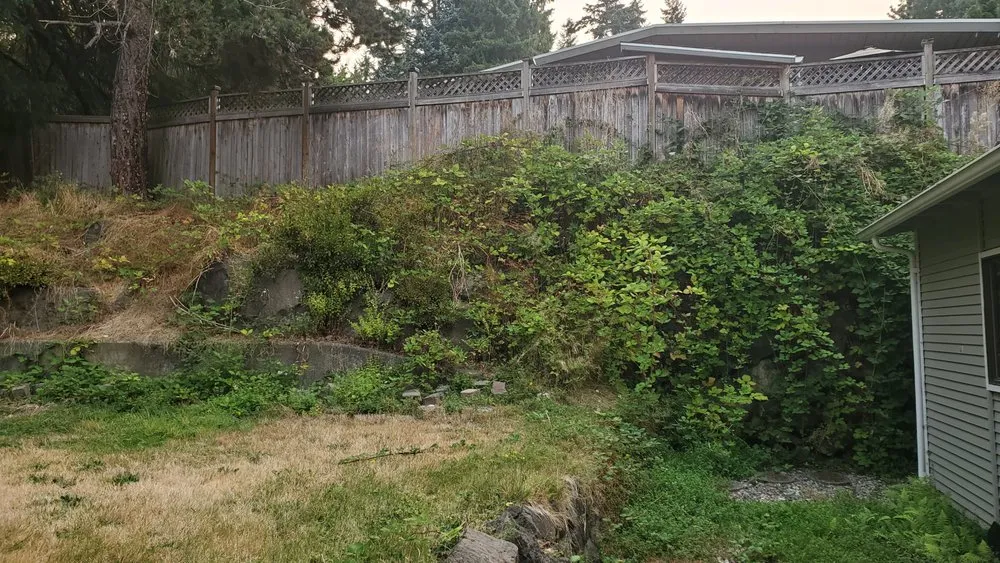 Affordable landscape installation with custom design in Seattle, WA by Neat & Tidy Landscaping