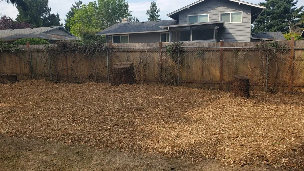 Local lawn care service for homes in Seattle, WA by Neat & Tidy Landscaping