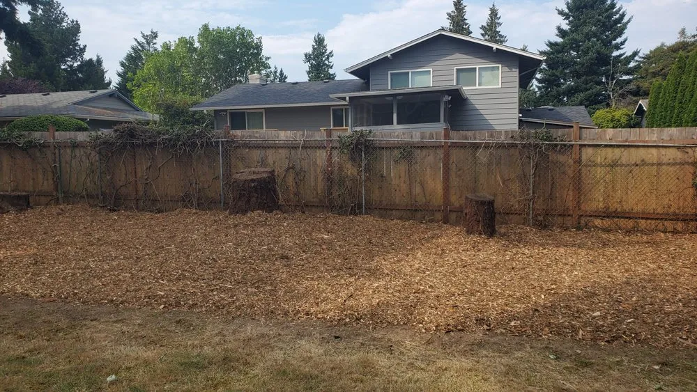 Expert lawn mowing service for outdoor upgrades across Seattle, WA - Neat & Tidy Landscaping