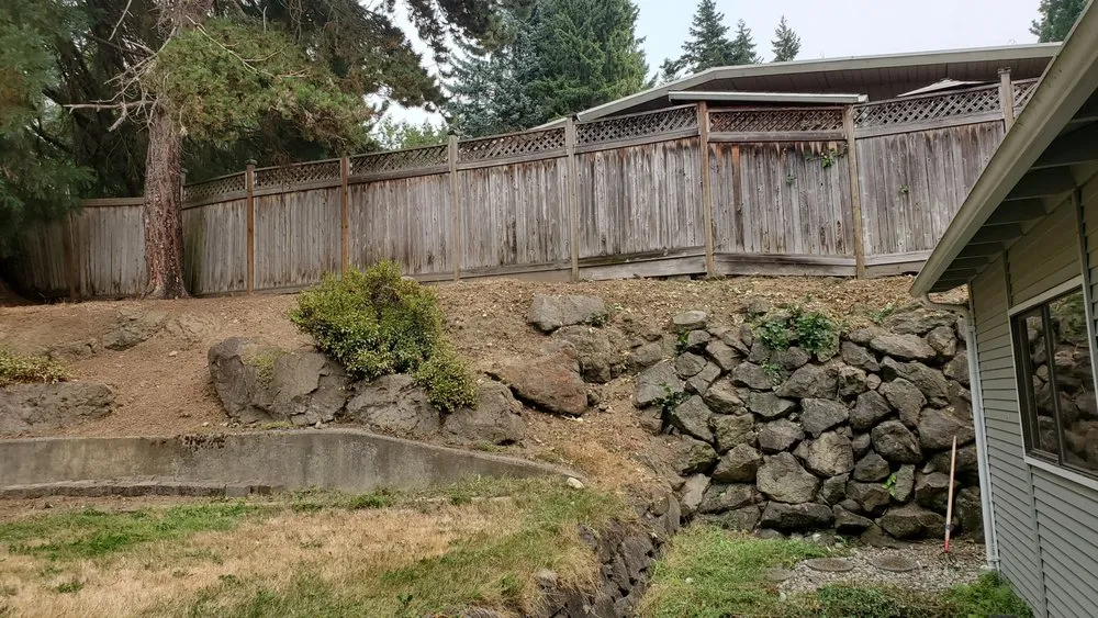 Local yard maintenance experts serving Seattle, WA - Neat & Tidy Landscaping