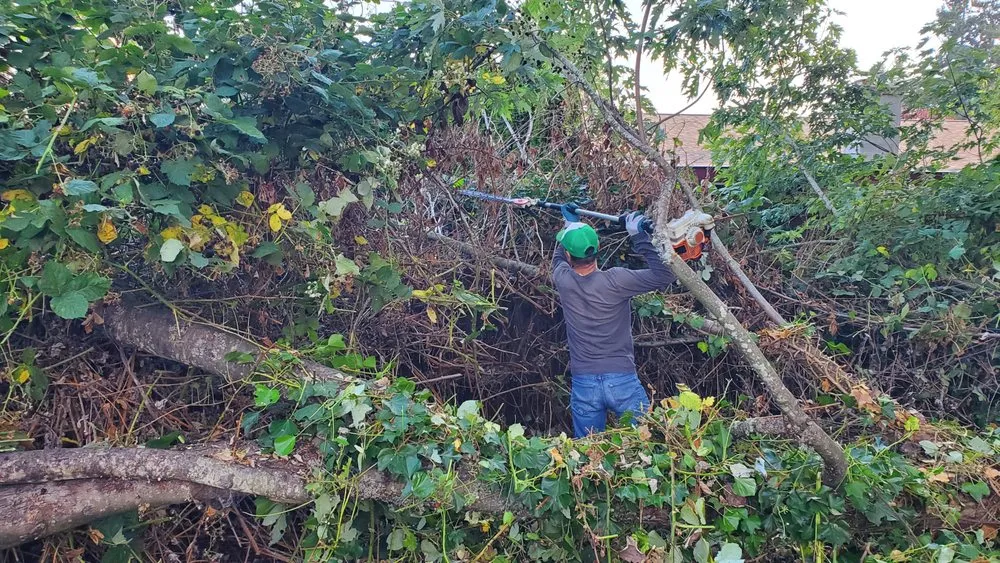 Expert landscape installation near you across Seattle, WA - Neat & Tidy Landscaping