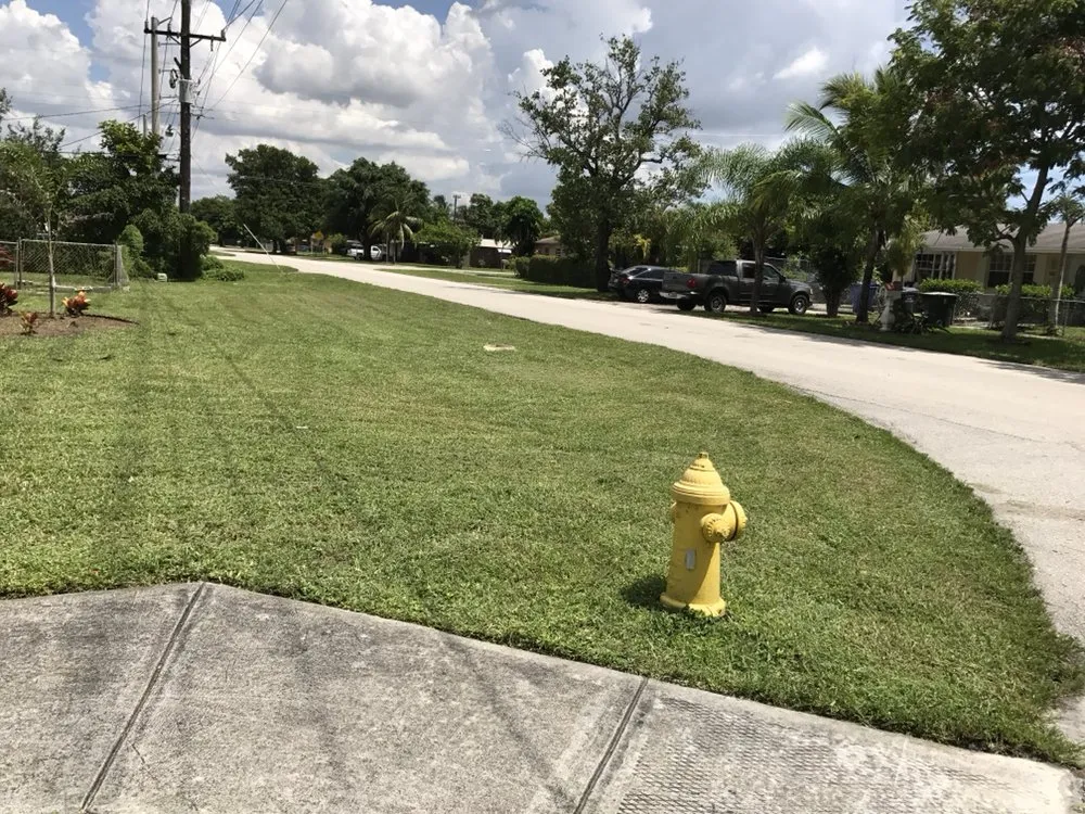 Top-rated lawn mowing service experts serving Miami, FL - Neat Cut Lawn Services