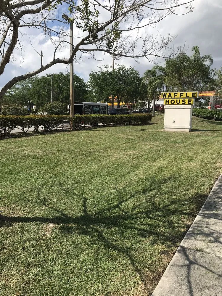 Affordable landscape installation experts serving Miami, FL - Neat Cut Lawn Services