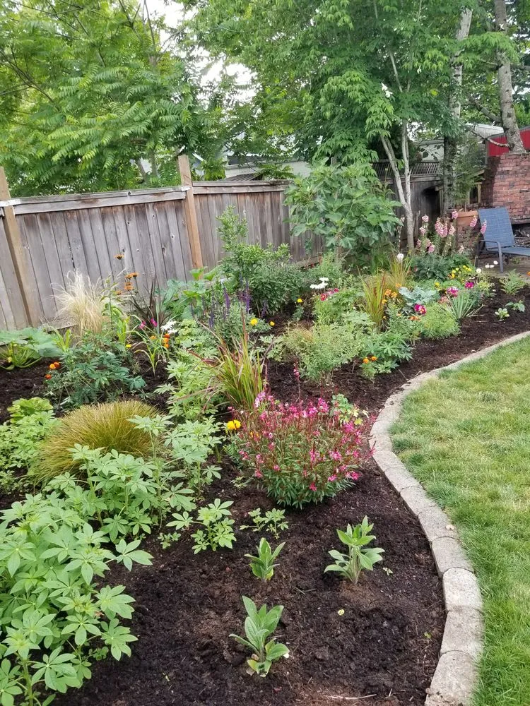 Trusted yard cleanup service near you in Portland, OR by Neat Gardens PDX