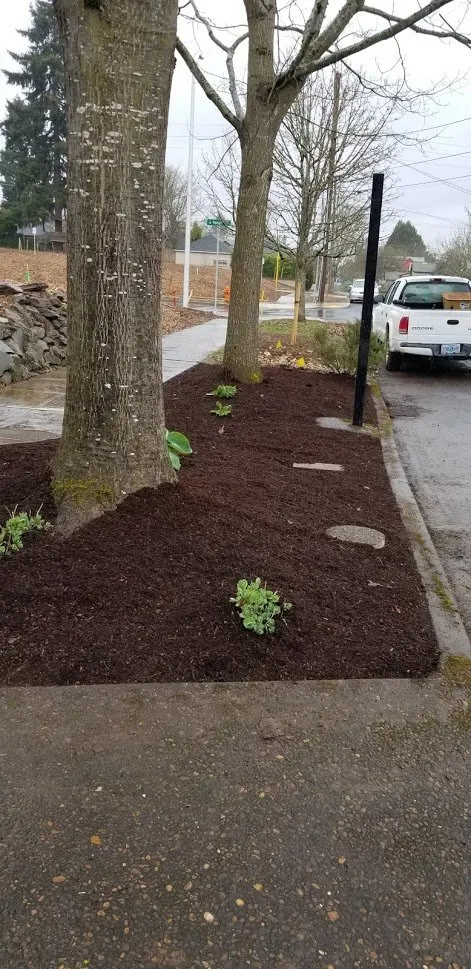 Affordable yard maintenance for year-round maintenance in Portland, OR by Neat Gardens PDX