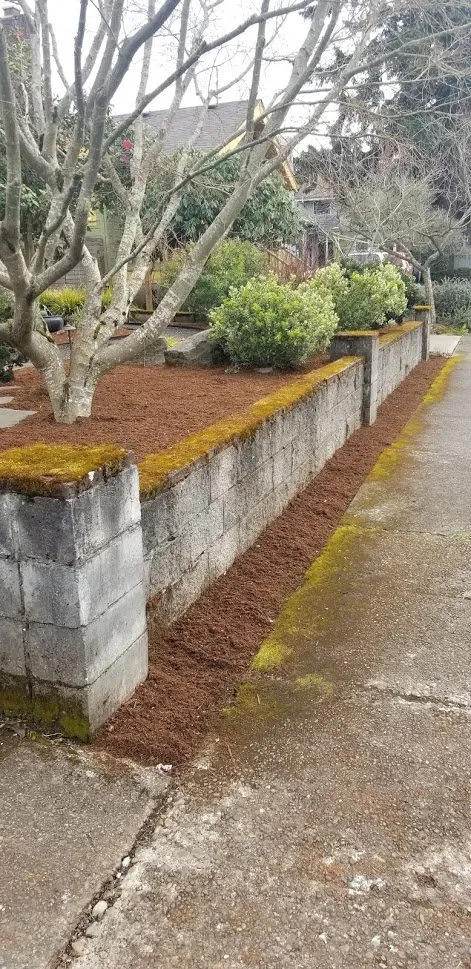 Professional yard cleanup service experts serving Portland, OR - Neat Gardens PDX