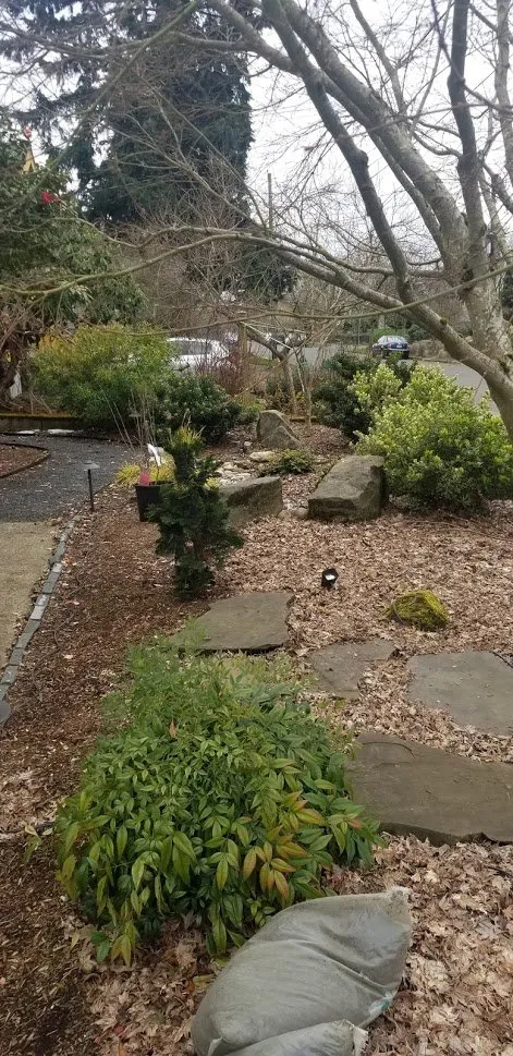 Top-rated yard maintenance for beautiful yards across Portland, OR - Neat Gardens PDX
