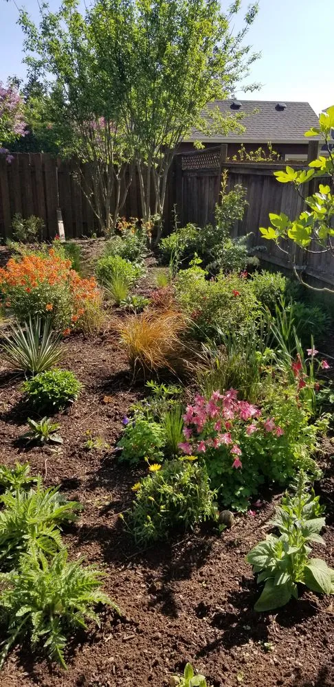 Custom lawn care service in Portland, OR - Neat Gardens PDX