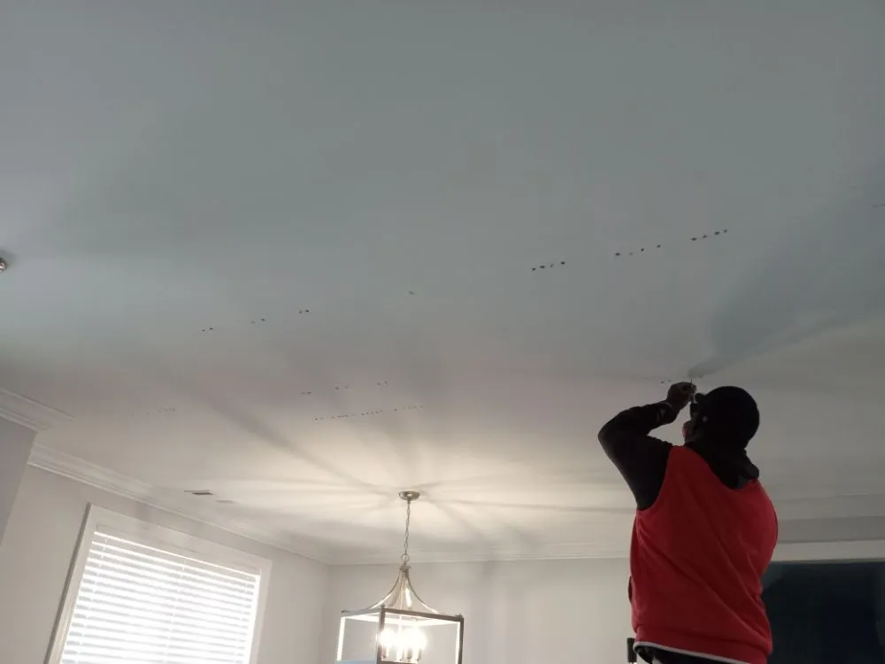 Top-rated landscaping services in Pearl, MS - Neat