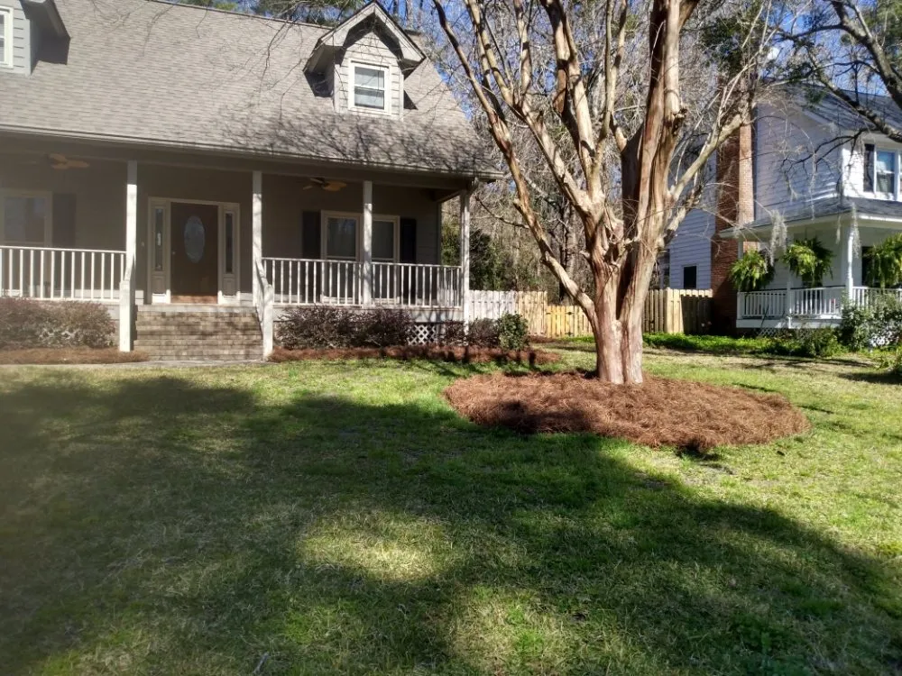 Affordable lawn care service for year-round maintenance in Savannah, GA by Neatcare Lawn Service