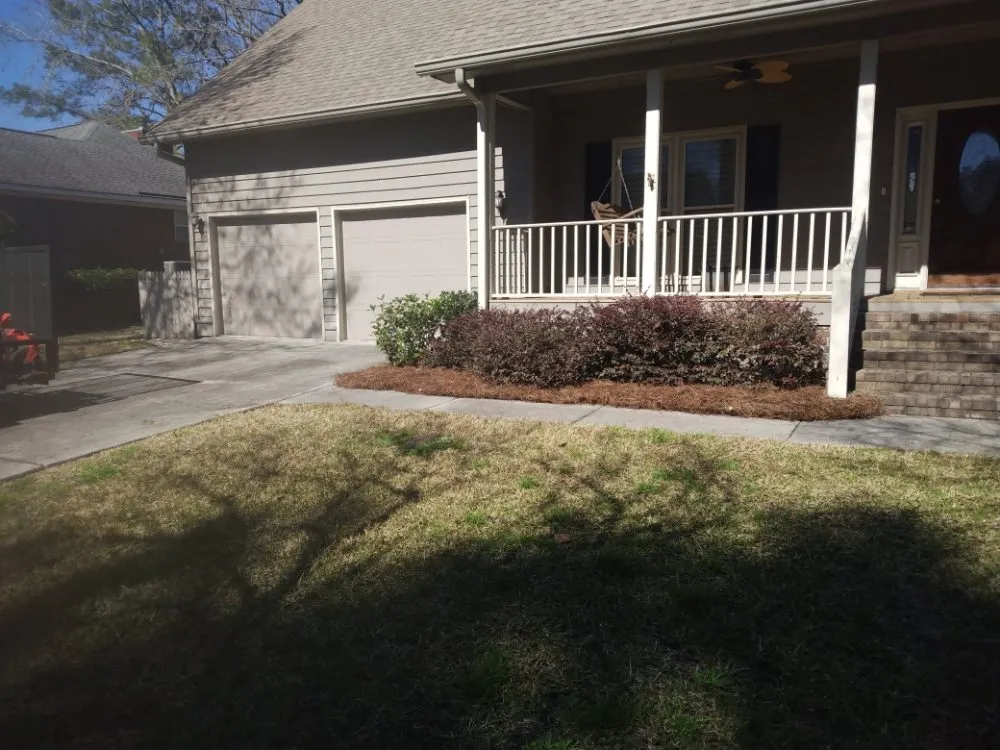 Expert yard cleanup service experts serving Savannah, GA - Neatcare Lawn Service