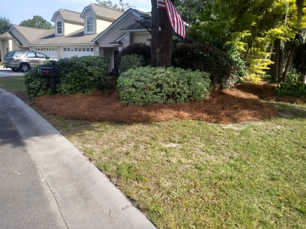 Local outdoor landscaping near you in Savannah, GA by Neatcare Lawn Service