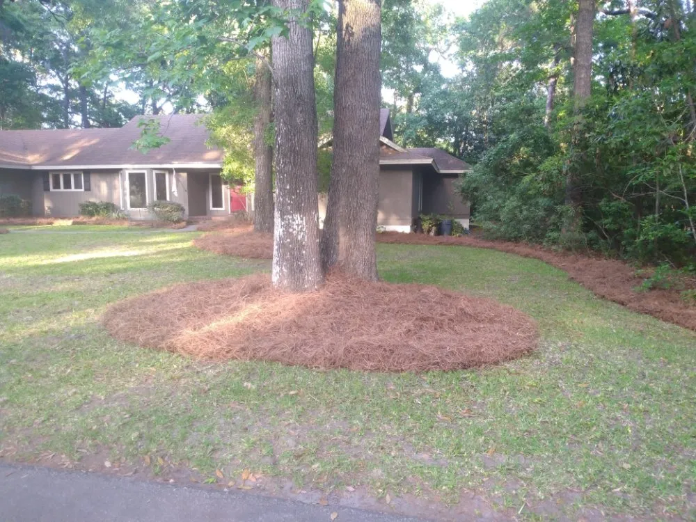 Affordable lawn mowing service in Savannah, GA - Neatcare Lawn Service