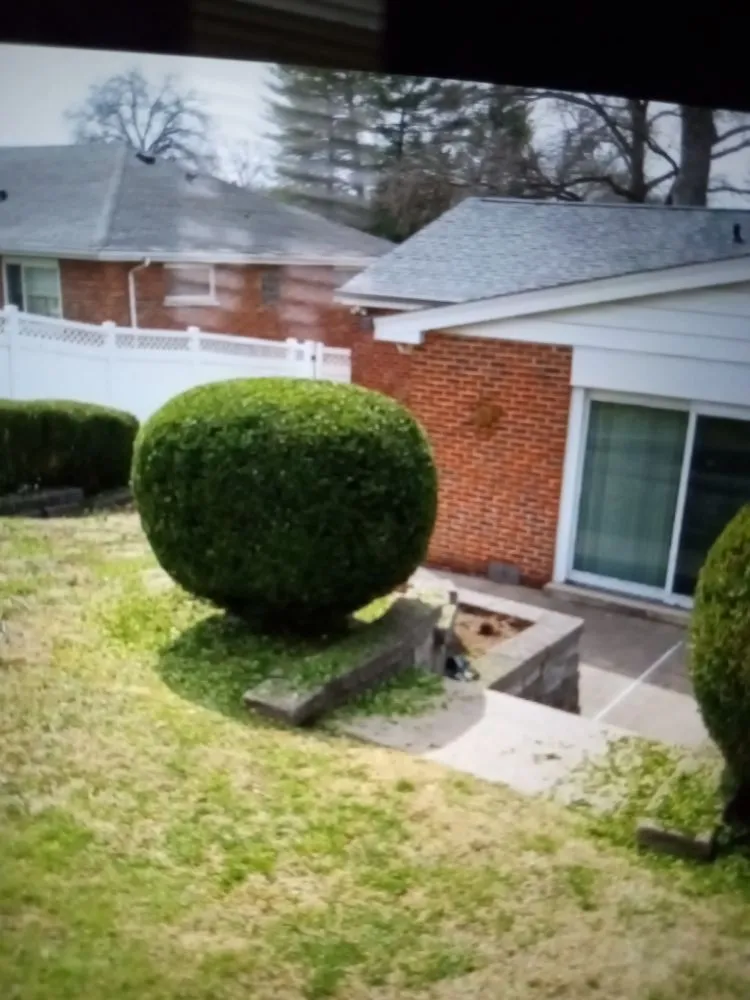 Reliable garden landscaping experts serving Saint Louis, MO - Neatfreak Lawn Care