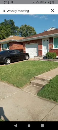 Reliable yard maintenance in Saint Louis, MO - Neatfreak Lawn Care