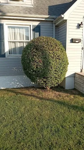 Professional garden landscaping in Saint Louis, MO - Neatfreak Lawn Care