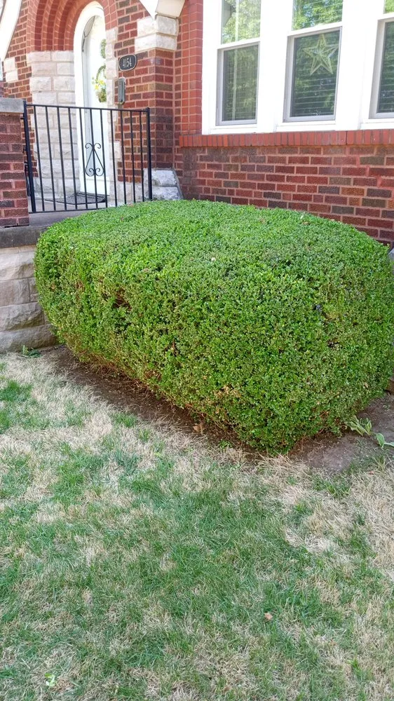 Custom garden landscaping experts serving Saint Louis, MO - Neatfreak Lawn Care