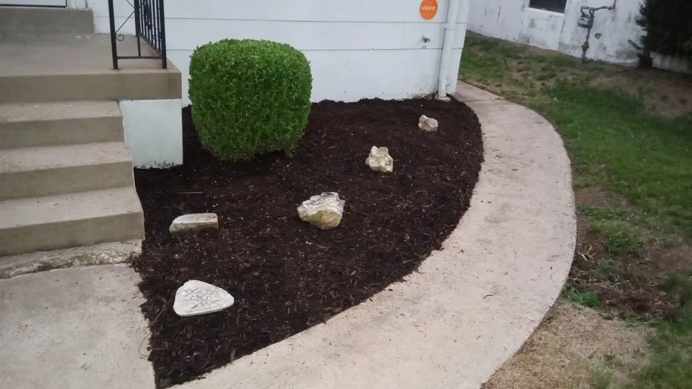 Professional yard maintenance in Saint Louis, MO by Neatfreak Lawn Care