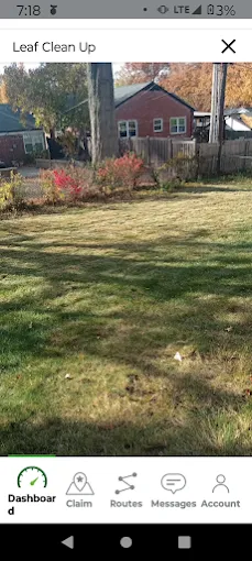 Custom outdoor landscaping for year-round maintenance in Saint Louis, MO by Neatfreak Lawn Care