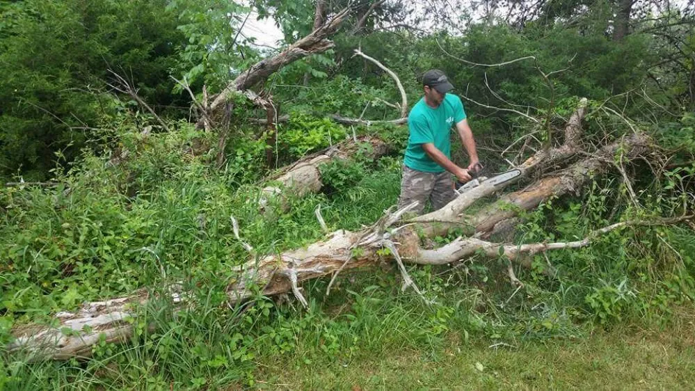 Trusted landscape installation experts serving Edinburgh, IN - Neatness Lawncare