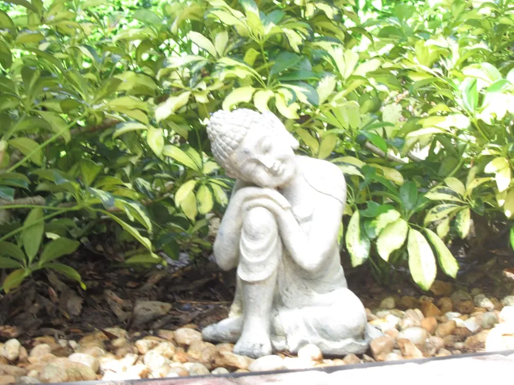 Affordable landscape design for homes in Oviedo, FL by NeatPro Landscape Maintenance