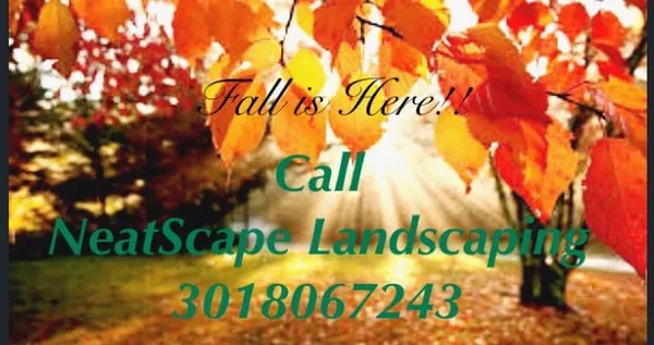 NeatScape Landscaping