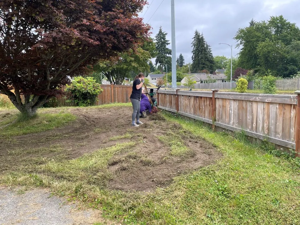 Trusted lawn care service in Tacoma, WA - Neatscapes Landscapes