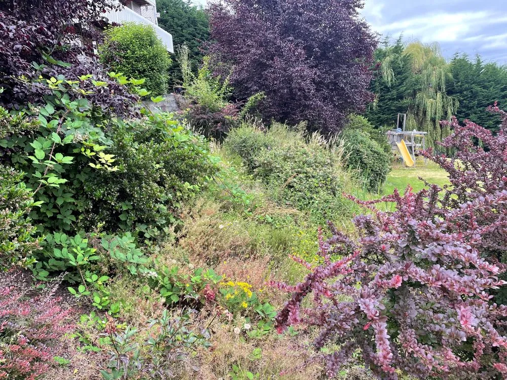 Reliable landscape installation in Tacoma, WA - Neatscapes Landscapes