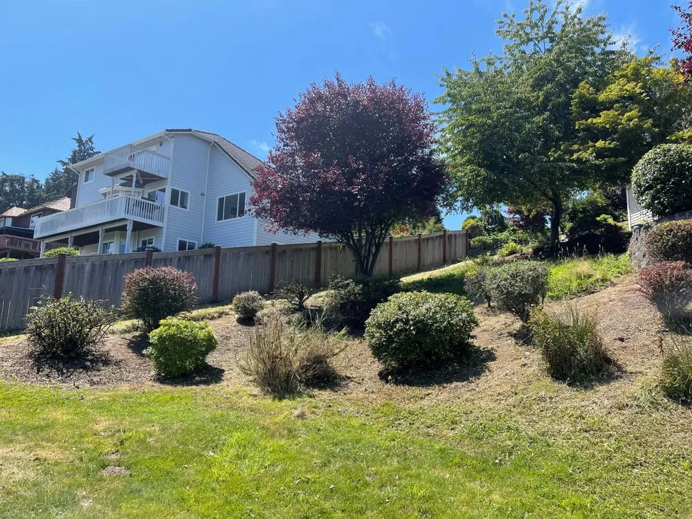 Reliable yard cleanup service experts serving Tacoma, WA - Neatscapes Landscapes