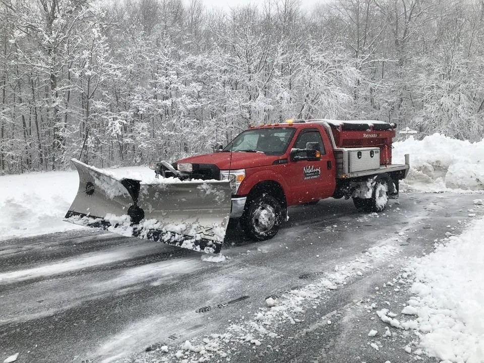 Professional landscape installation in Niantic, CT - Nebelung Construction - Dumpsters and Property Services