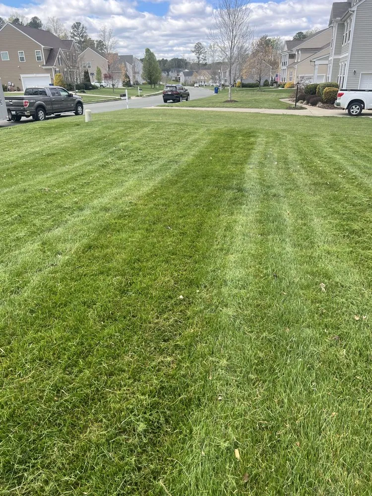 Local yard maintenance for residential properties across Midlothian, VA - Neblett Lawn Care Services