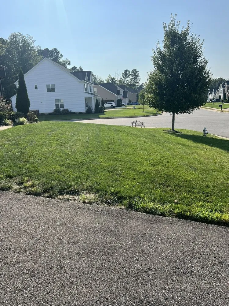 Affordable landscaping services for homes in Midlothian, VA by Neblett Lawn Care Services