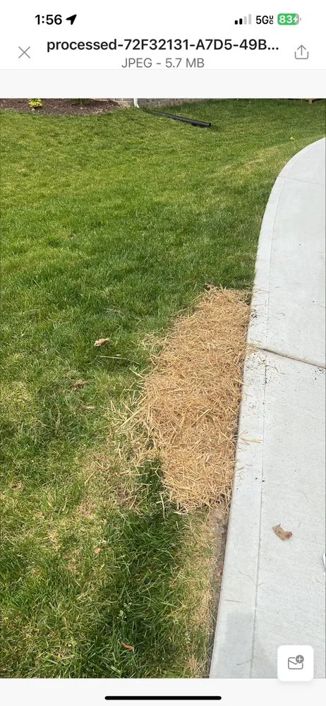 Custom yard maintenance experts serving Midlothian, VA - Neblett Lawn Care Services