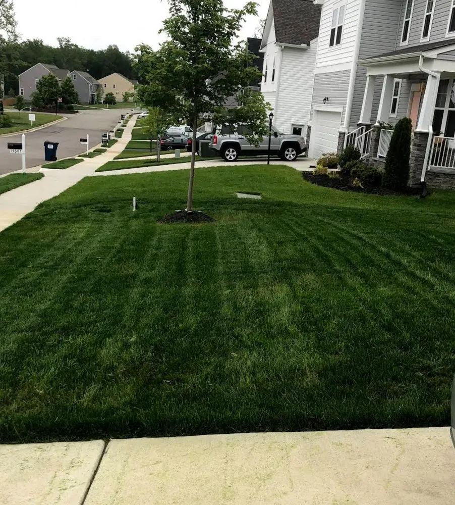 Expert landscape design for year-round maintenance across Midlothian, VA - Neblett Lawn Care Services