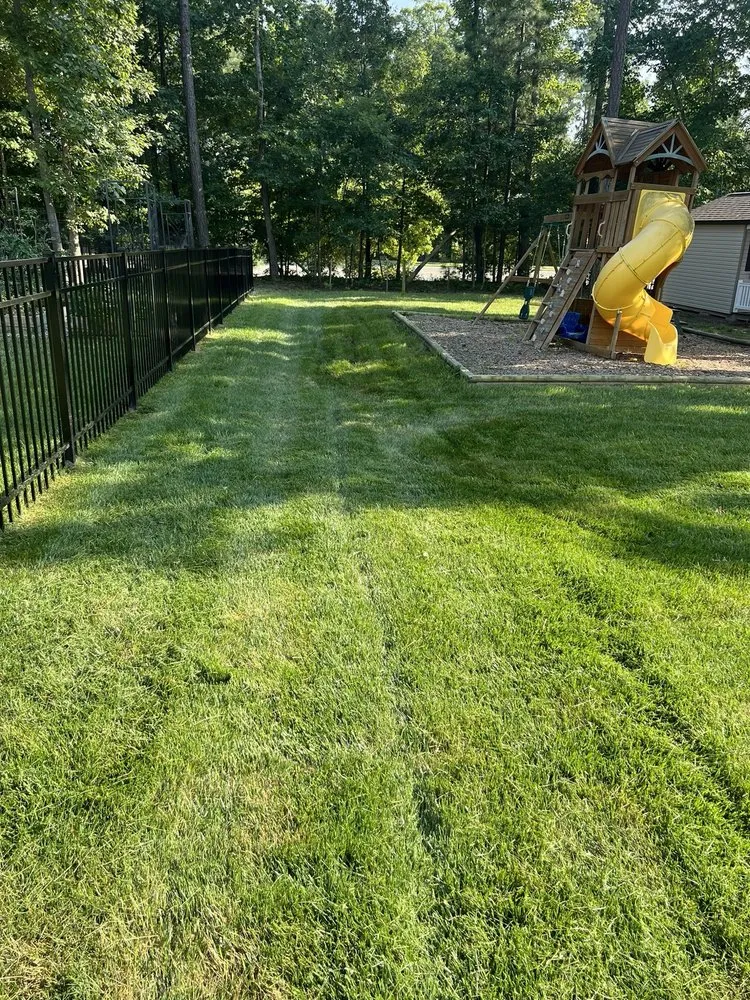 Top-rated yard cleanup service near you across Midlothian, VA - Neblett Lawn Care Services