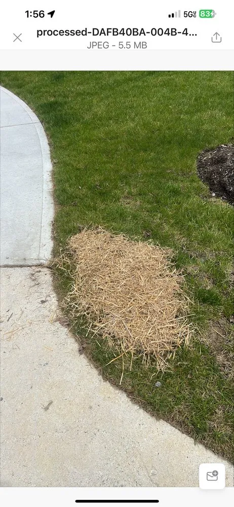 Custom landscaping services in Midlothian, VA - Neblett Lawn Care Services