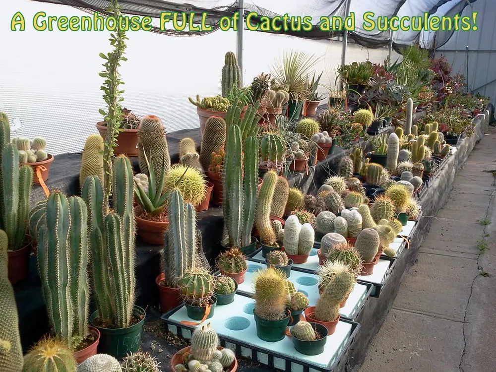 Top-rated landscaping services experts serving Lincoln, NE - Nebraska Outdoor Living Center