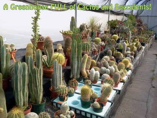 Nebraska Outdoor Living Center Logo