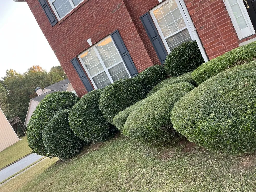 Professional landscaping services in Austell, GA - Nechos Landscaping & Lawncare