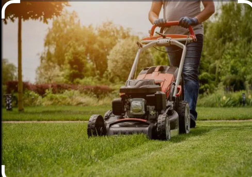 Top-rated outdoor landscaping in Pittsburgh, PA - Need A Cut Landscaping